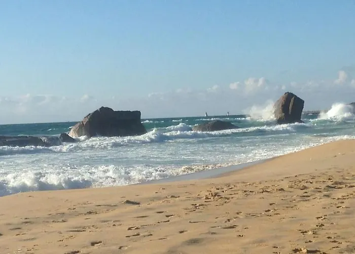 Cap Ocean Lejlighed Capbreton